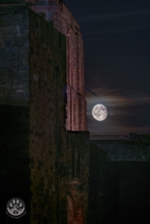 122ac458-d970-403c-8d71-28d0d776593e