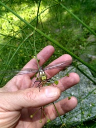 327246f1-4021-4ada-b6d0-8124594d6045