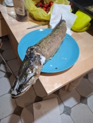 c42a0e7b-a37d-4093-a8b5-740c560ea230