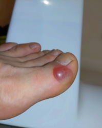 434c99cd-acfe-49df-8fce-2013e1dd1284