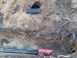 9486966d-217e-4a73-94d7-b5f3128c1162