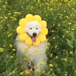 9763d91a-c716-4ea4-b24b-ed9ec7036ac8