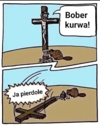 e0f5b630-8406-466a-8985-e8d3963dc113