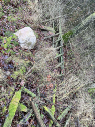 248ed529-a96b-4870-8f75-f15da3e9769c