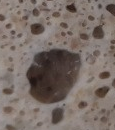 2c5b0358-0cb1-40c0-9488-31c560792659