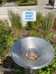 50f1d8cc-2660-4881-a564-fbdcfb188be2