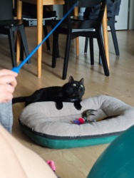 6cd2b5eb-8610-44e6-a119-b61fc0e1b8e8