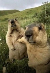 ff5e6a8f-a480-4c49-8bf7-10b316e4a578