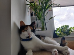 f08cc8f5-7a39-44f1-b935-23ee9d3c82bc