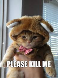 b309375d-3beb-4f40-9e7c-c9e26ec46d73