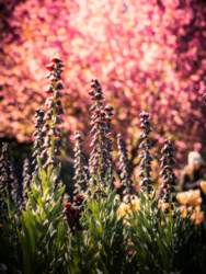 1f573f21-f6f4-4a85-932c-acb0b61996ec