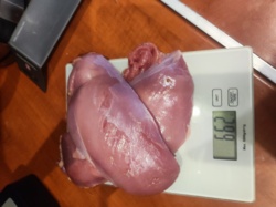 b23dbe48-70c0-4f1d-ad7d-310d796fb78e