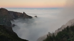 3e08ee92-8481-4918-85c4-54de0f05f8ea