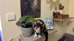 21cea4b0-21c9-4565-8c2a-a5009b22c8d5