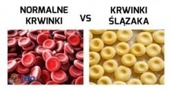 1e9f0d50-5633-49e0-93aa-49f73712aae0