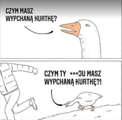 48b2d689-1e61-41c2-90b4-f82912d386d1