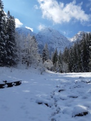 4b231695-b6b3-46a7-8266-a7f9eb44fc94