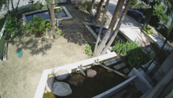 828d2a73-f21e-4b19-b11f-a6a8ab3c0215