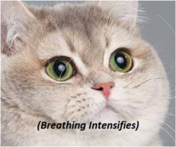 568fbc81-7e99-4777-9f36-47fb6d2356e2