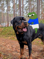 b5bbb1ab-9ceb-42a5-8e29-c120b85e544f