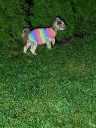 77959eee-fa7d-476a-b671-41276e1aa649