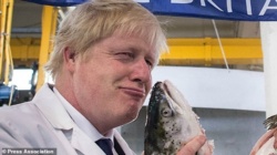 d5062a9e-e63c-4362-99a3-ee4917e179f6