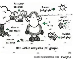 e9c02f70-f38b-46cc-af91-6029b24fddb8