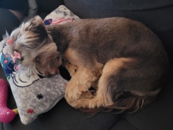 99563a83-ba01-4fea-a0ff-083e19ba54a8