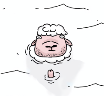 4e6df66d-884b-490d-b5dd-295d779fdaf8