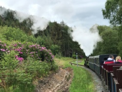 4bd3cbb9-739a-4929-9caa-305d3032902b