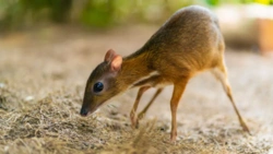 dd22824b-961a-4624-b0a9-8de0a2cd54ae