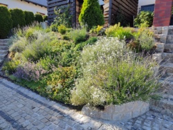 8b455850-64dc-4a79-8930-8c003e07a646