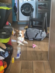 8031e725-3ebd-434b-8718-89ce1a3d20e9