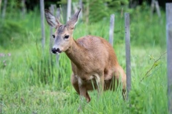 3a2b7c9a-5398-4c08-ad0f-945349e39b65