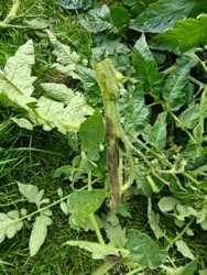 7eb133b5-e599-4341-85d6-0066b04694be