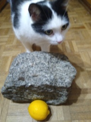 ec2573ad-dc1a-4a57-a911-0b89bbafbf71