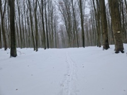 a33a5ce2-1527-47a3-b2da-1565841f1d96