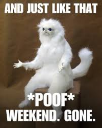 993acee1-ed0a-47ae-b246-c2cdb103773a