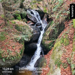 50b138f6-b1f2-46de-8295-3b86b82fb4e8