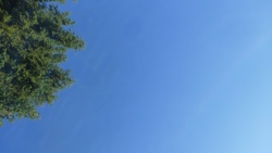 817f97ad-07c6-42bd-b22c-9a9bb4ce712e