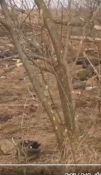 8dc1339f-a855-47da-b6bc-e7f4d7803379