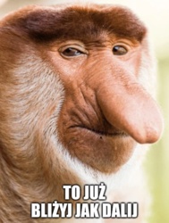 b17a5320-6af1-45bf-8c0b-fa3137555de9