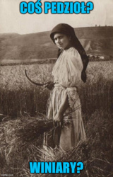 3e340a94-5f6b-44a9-9589-3637ecff9e45