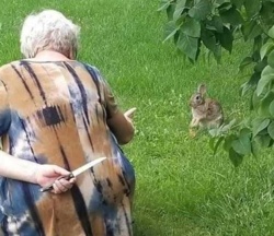 5fcde185-de41-443f-b9ac-ecfc2c50dcd3