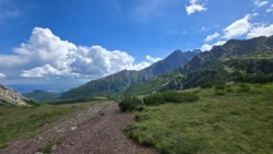 4d135243-36a7-4a99-9cee-e1bacc014aa9