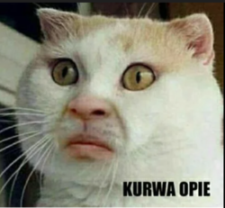 604a0938-717d-4fe6-8b57-d995a6e0c774