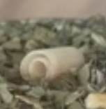 8fa8d98a-f02a-4a39-8df9-6df0a66c1904