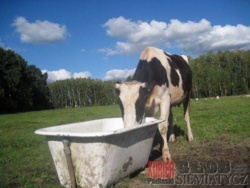 eafb2b9a-b8f3-461c-b3c8-00e407afe139