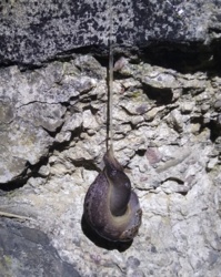 1c0f93ba-433c-4aed-9650-6f2ece8eb17a