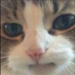 820396b7-f772-487f-80d8-32d0b68f54e4